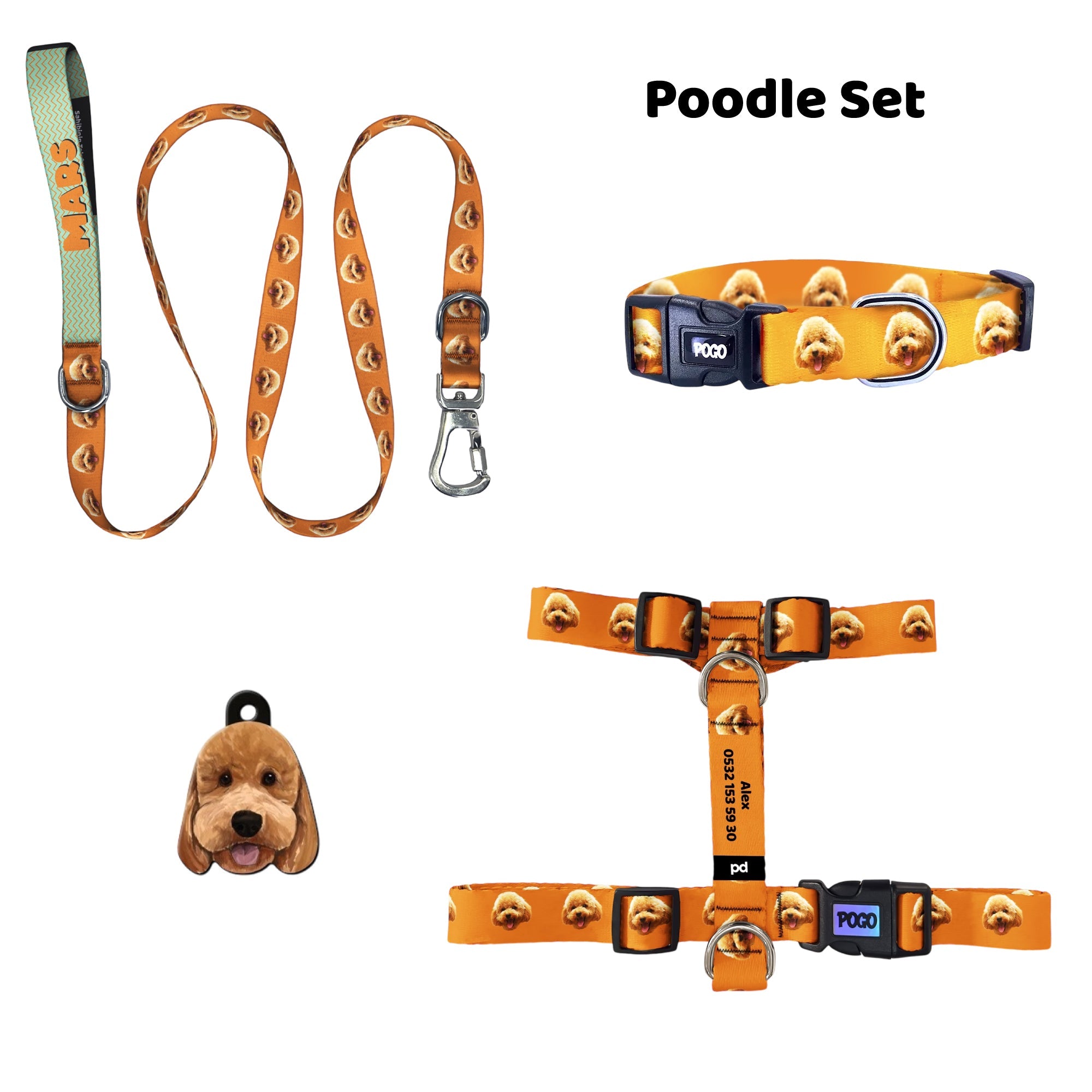 Poodle | Tasma ve Künye Seti - Evcil hayvanlar için mükemmel bir ürün.