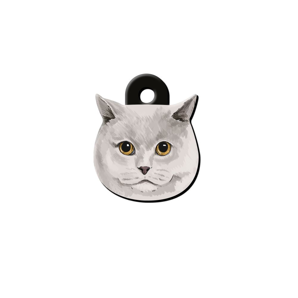 British Shorthair Kedi Cinsleri TagsForever