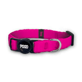 Fuschia | Kedi Tasması - Evcil hayvanlar için mükemmel bir ürün.