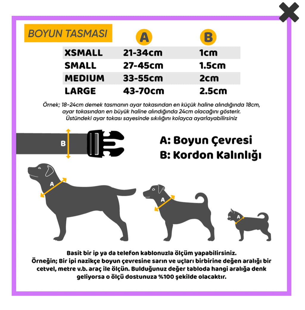 Molly | Tasma ve Künye Seti