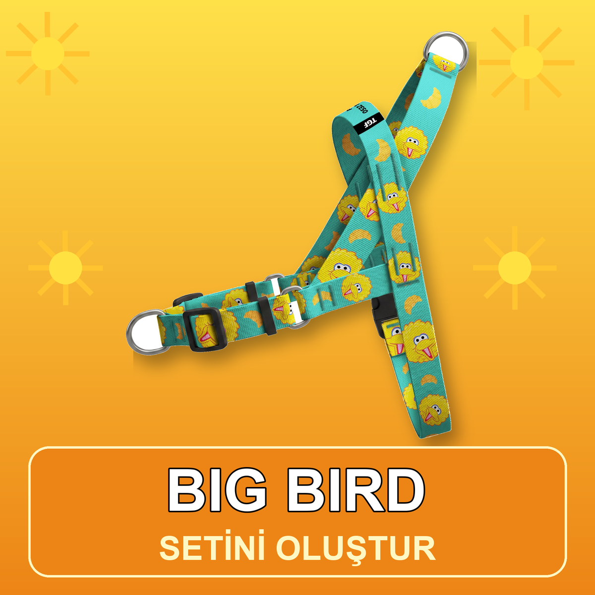 Big Bird | Set Oluştur