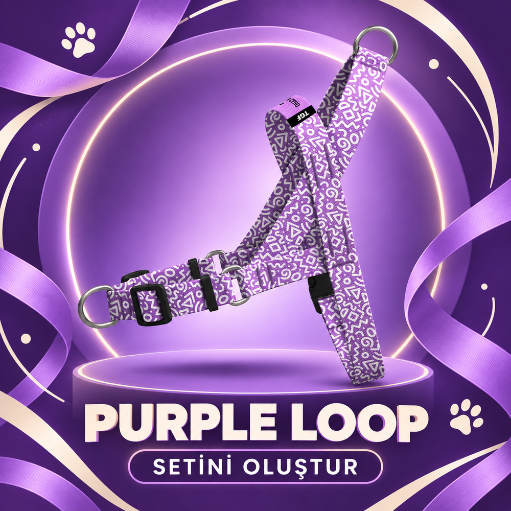 Purple Loop | Set Oluştur