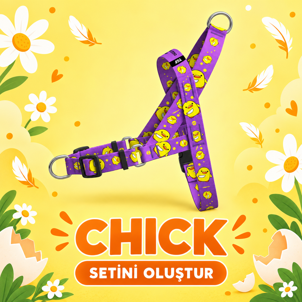 Chick | Set Oluştur
