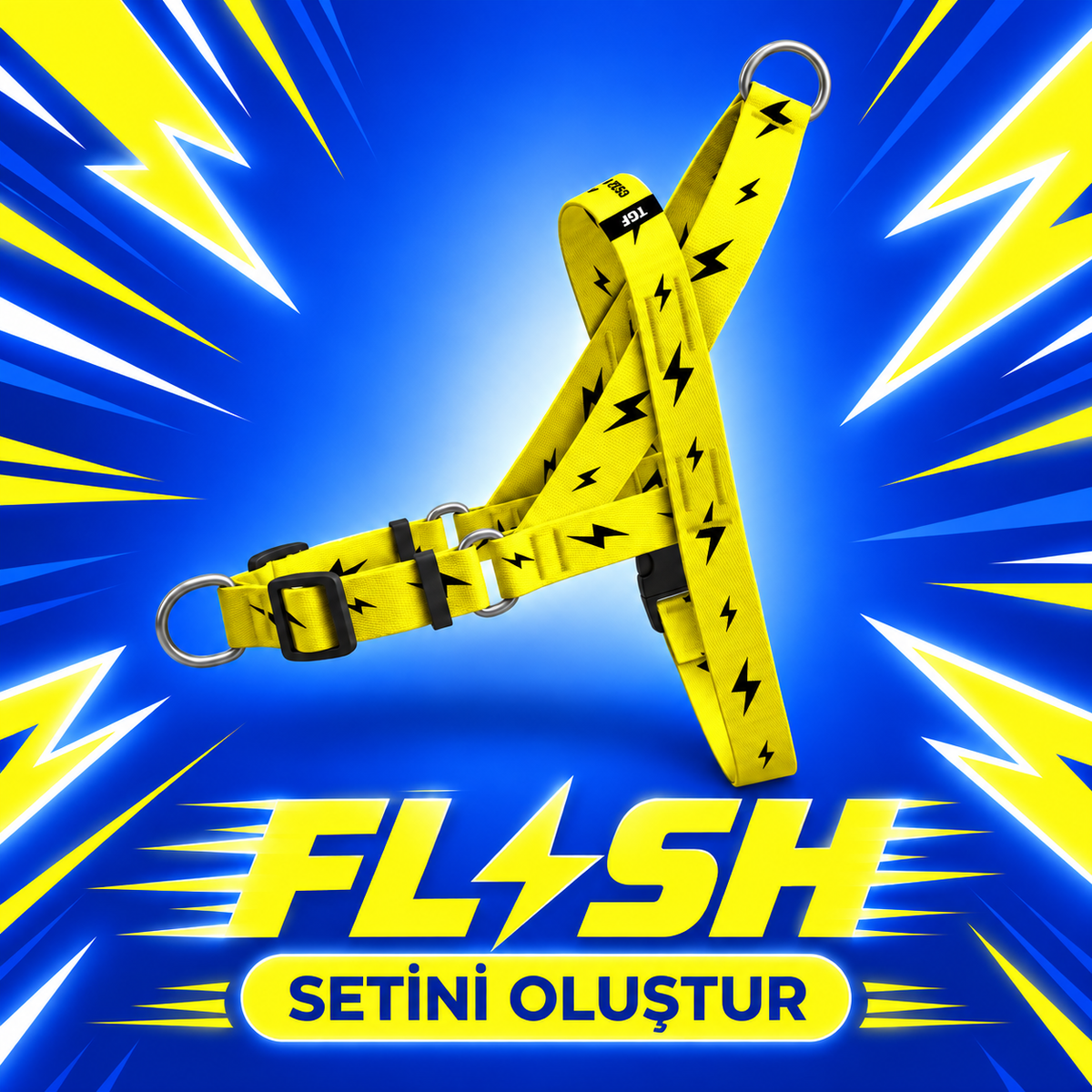 Flash | Set Oluştur