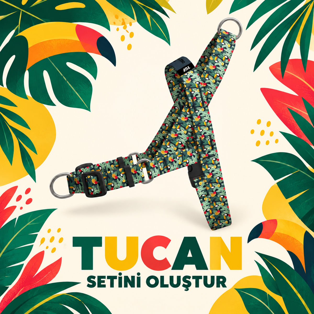 Tucan | Set Oluştur