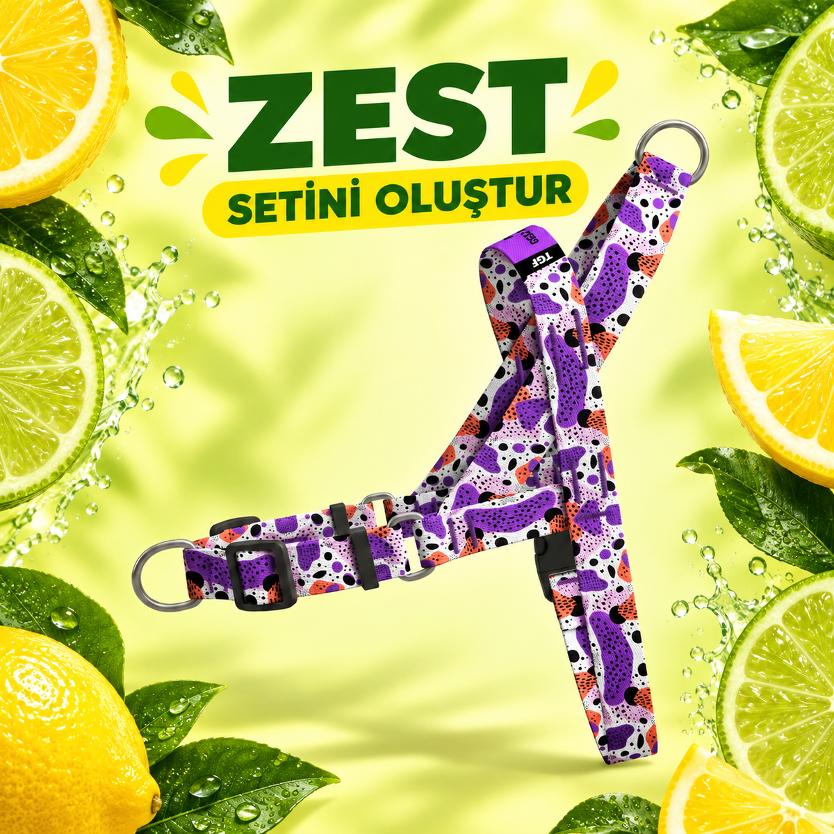 Zest | Set Oluştur