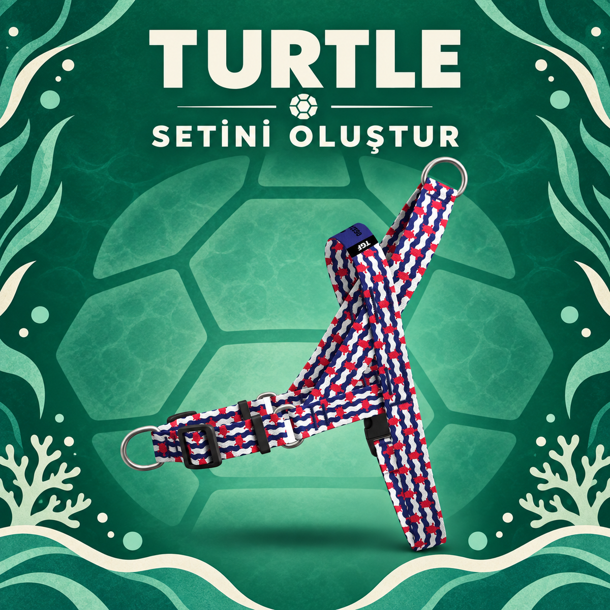 Turtle | Set Oluştur