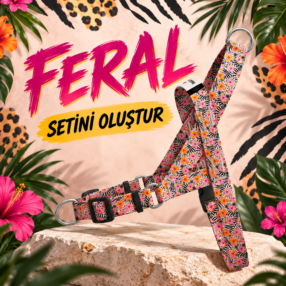 Feral | Set Oluştur