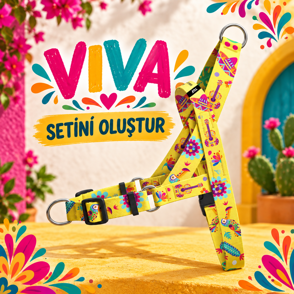 Viva | Set Oluştur