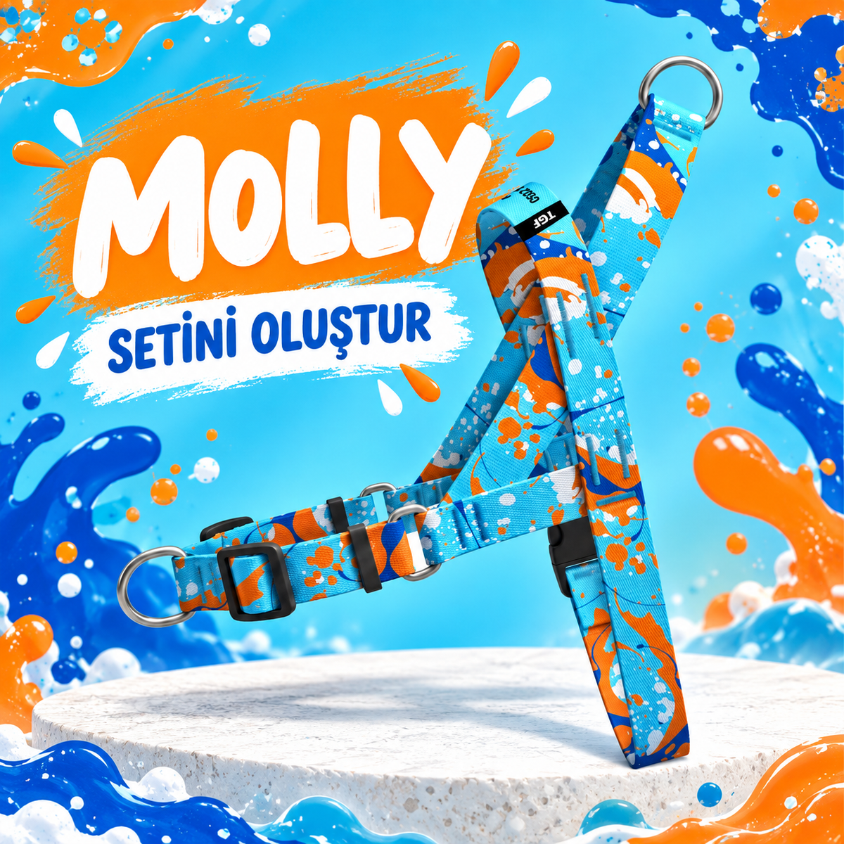 Molly | Set Oluştur