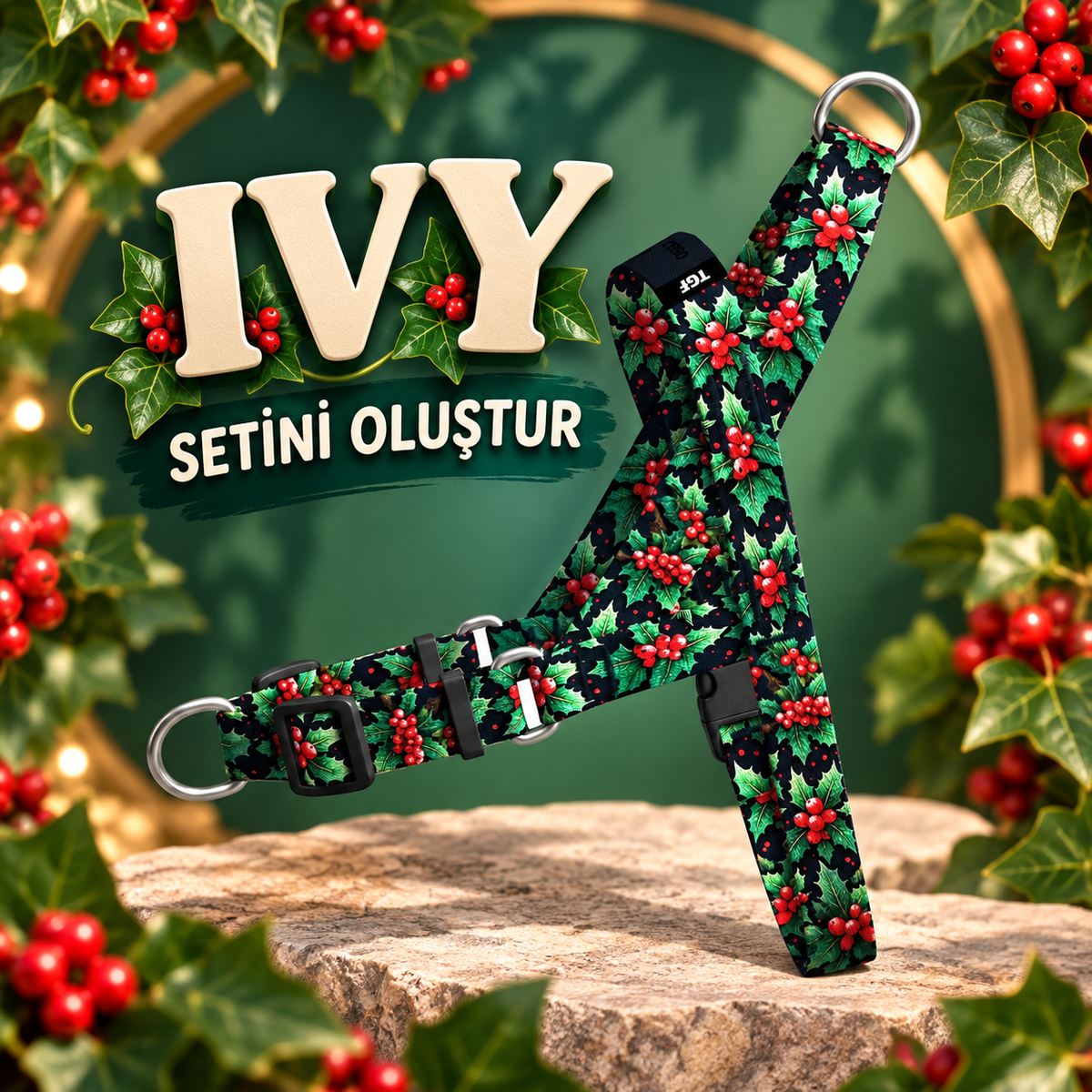 Ivy | Set Oluştur