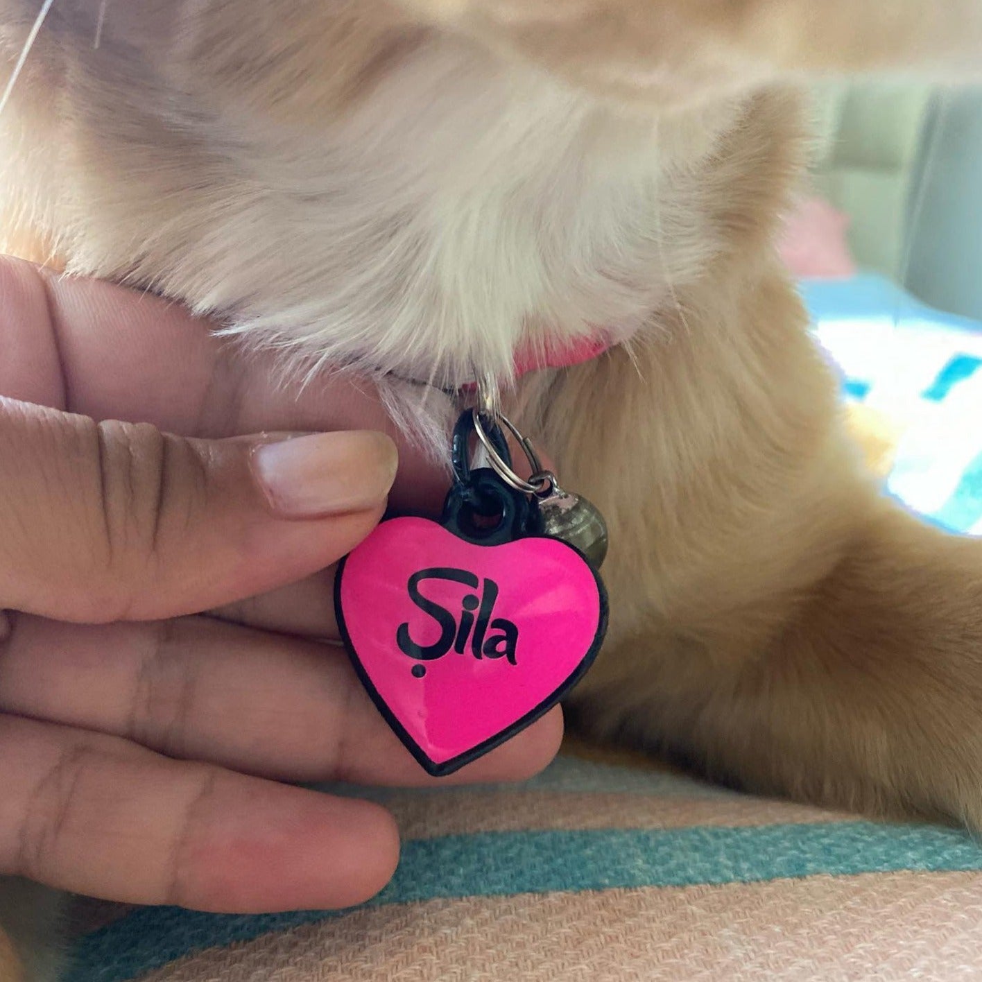 Pembe Neon Kalp | İsimlik