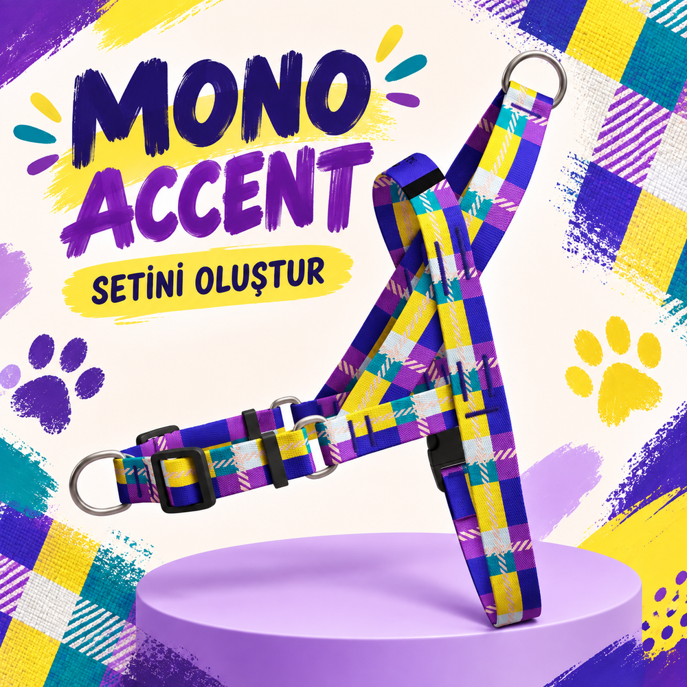 Mono Accent | Set Oluştur