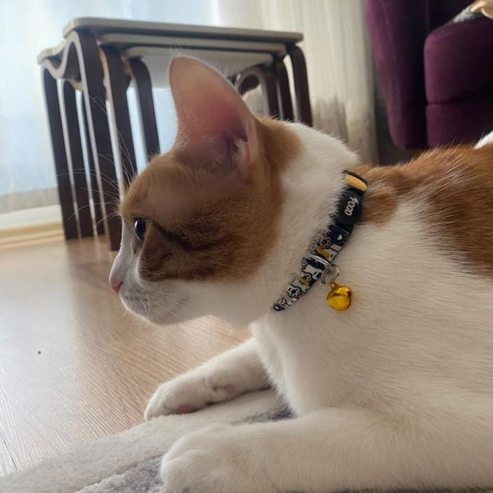 Pawty | Kedi Tasması