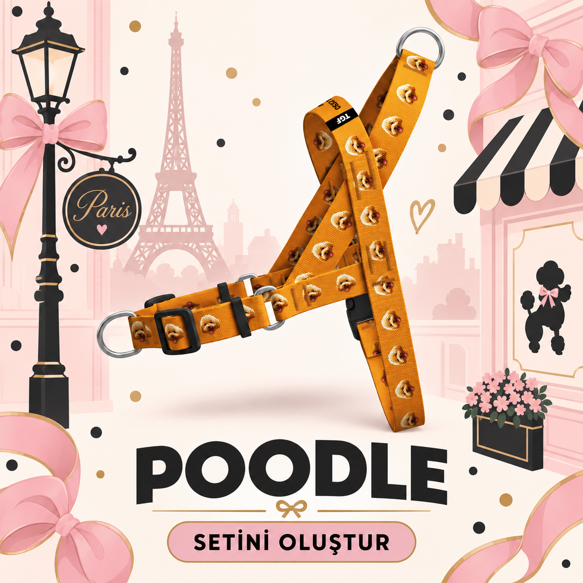 Poodle | Set Oluştur