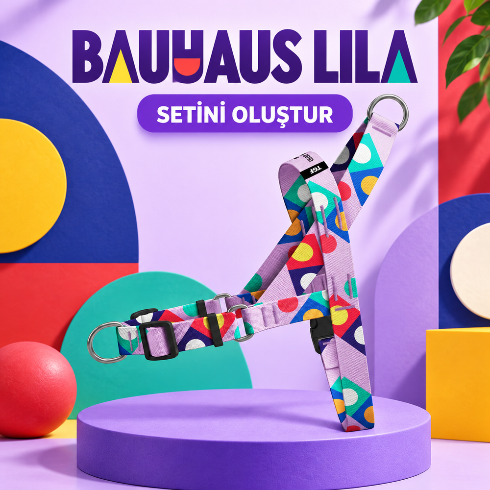 Bauhaus Lila | Set Oluştur