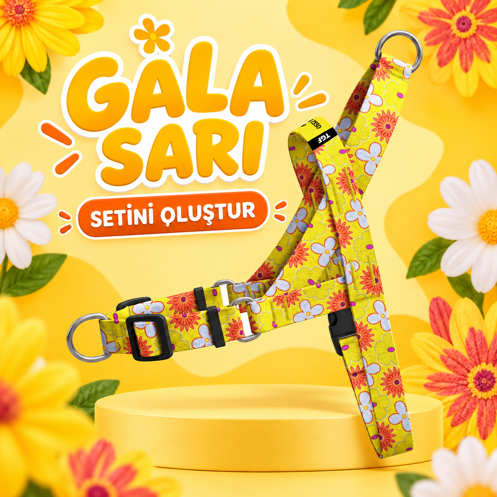 Gala Sarı | Set Oluştur