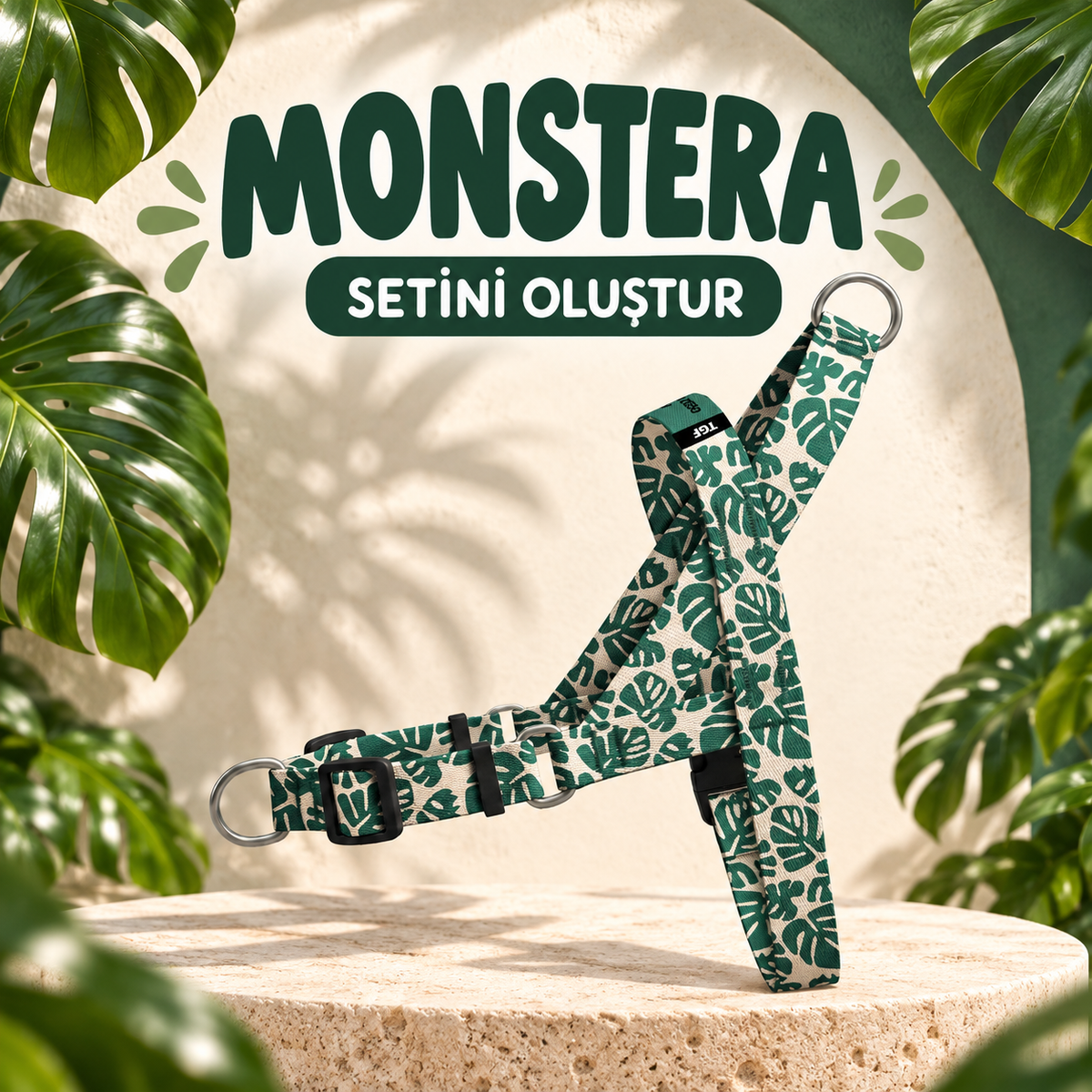 Monstera | Set Oluştur