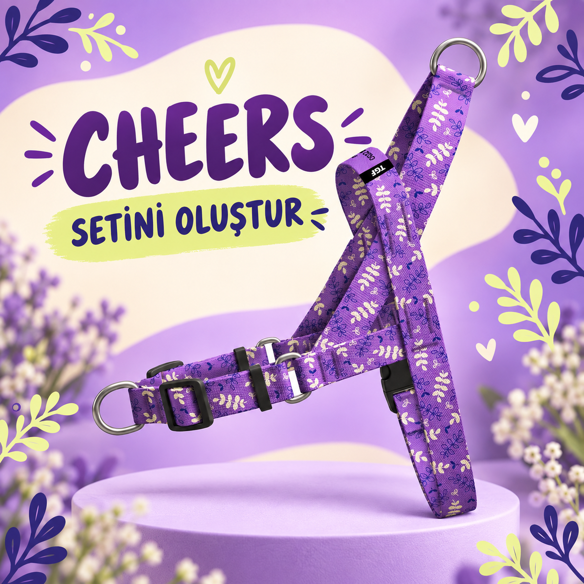 Cheers | Set Oluştur