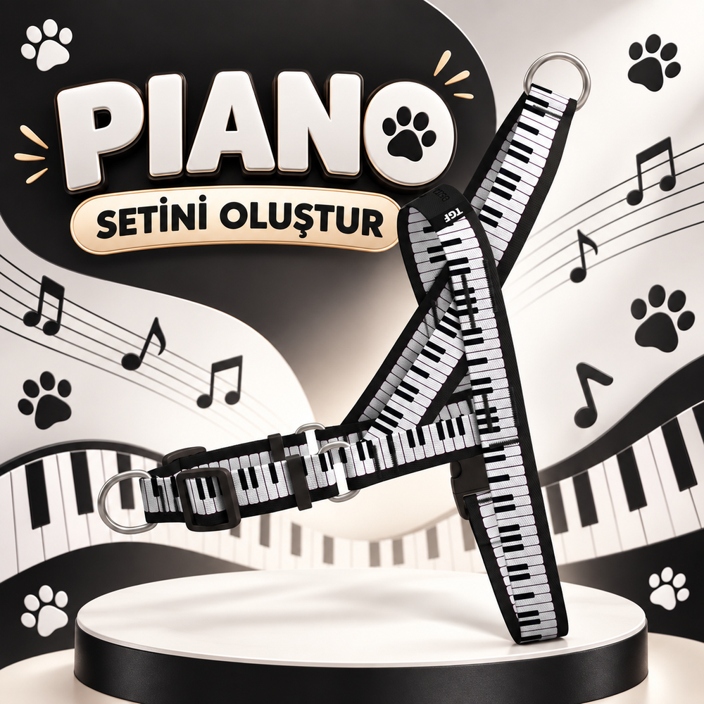 Piano | Set Oluştur