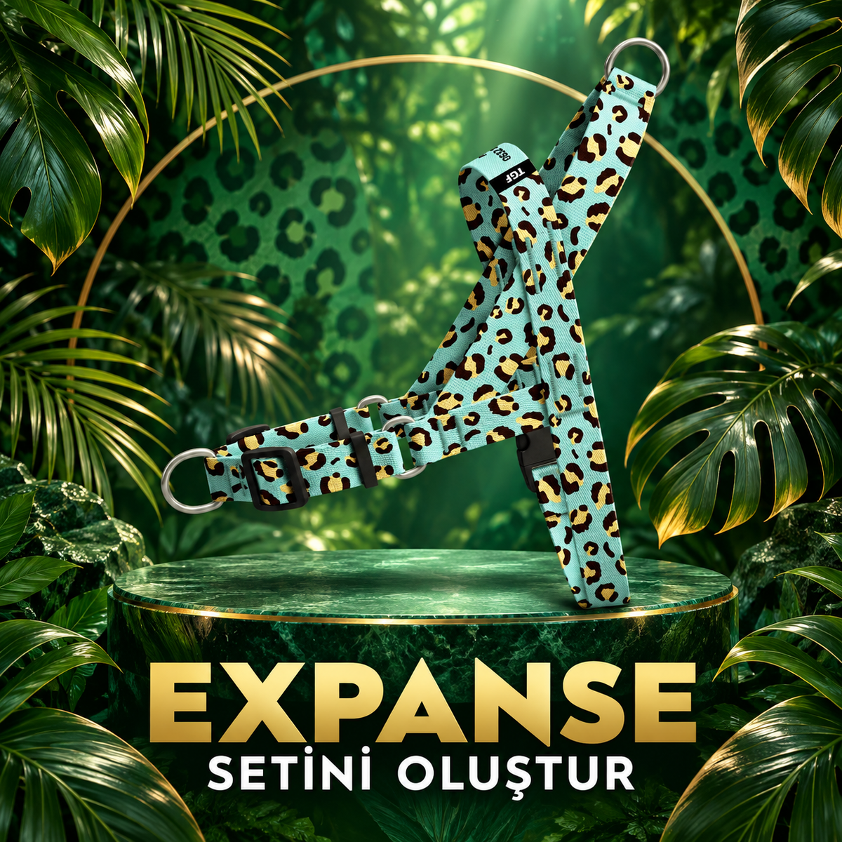 Expanse | Set Oluştur