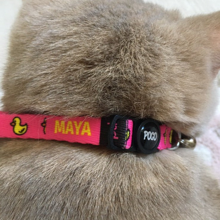 Pink Duck | Kedi Tasması