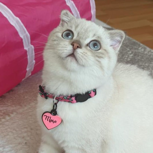 Pinky | Kedi Tasması