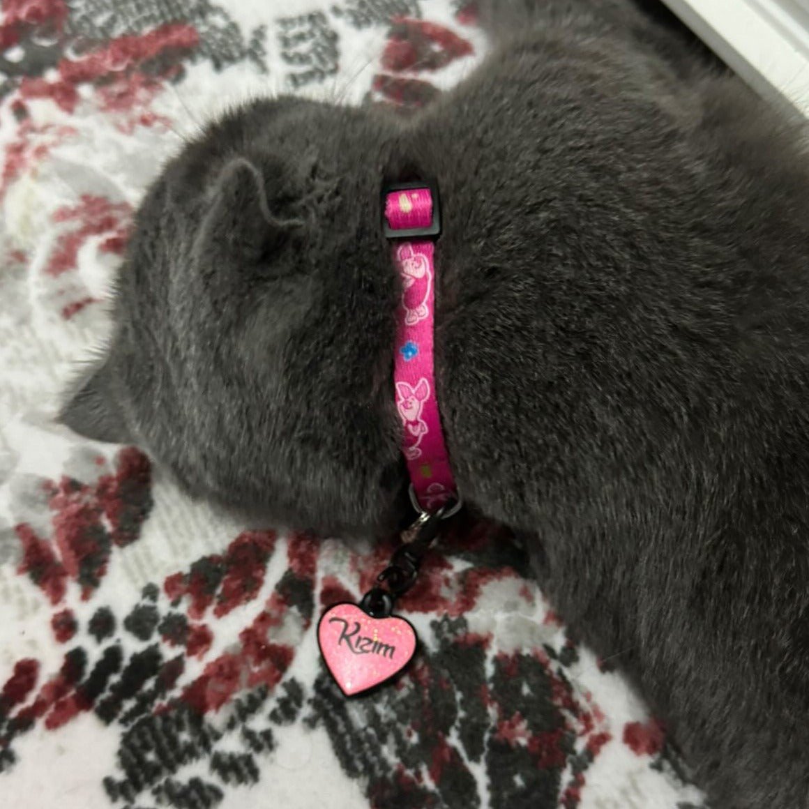 Piglet | Kedi Tasması