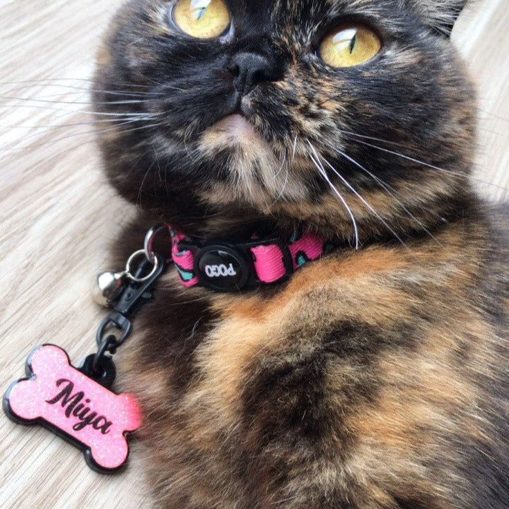 Pinky | Kedi Tasması