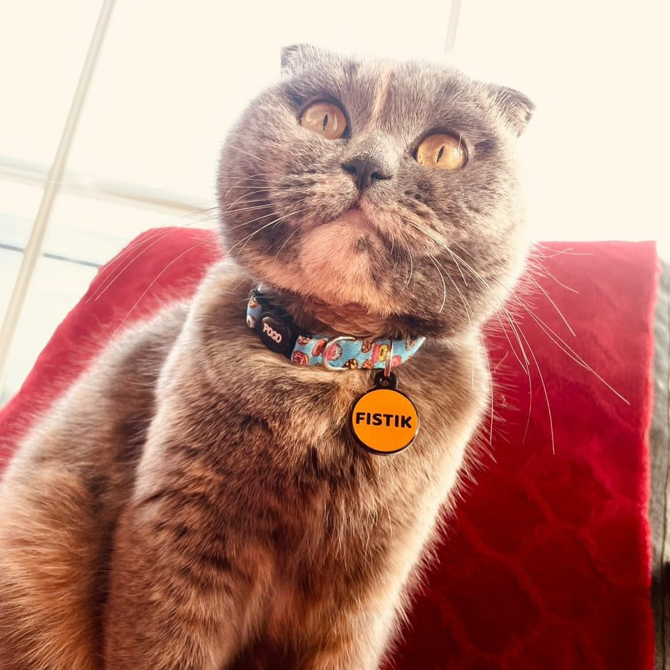Mavi Donuts | Kedi Tasması