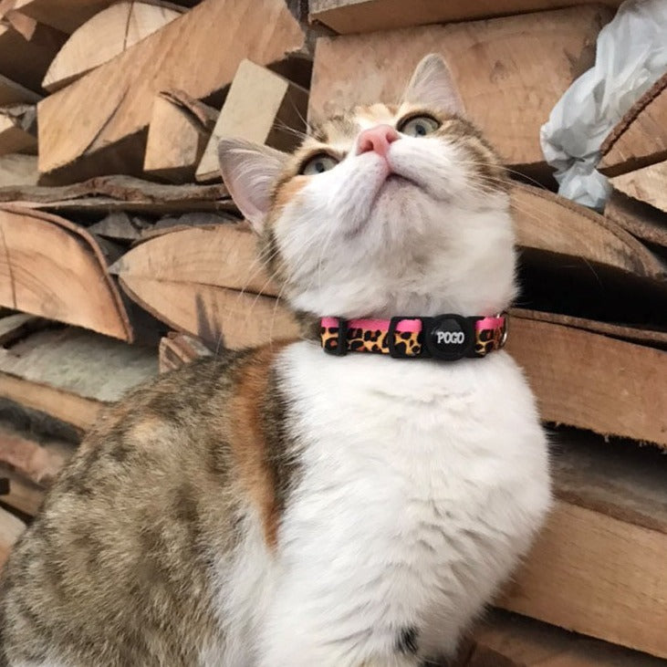 Leopard Pembe | Kedi Tasması