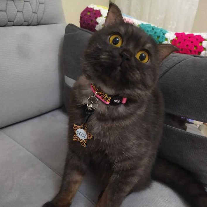 Leopard Pembe | Kedi Tasması
