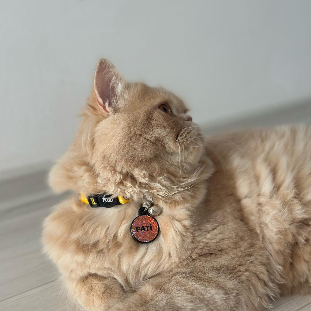Sushi | Kedi Tasması