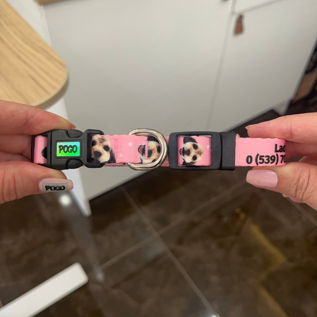 Vesikalık Pudra Pembe | Köpek Tasması