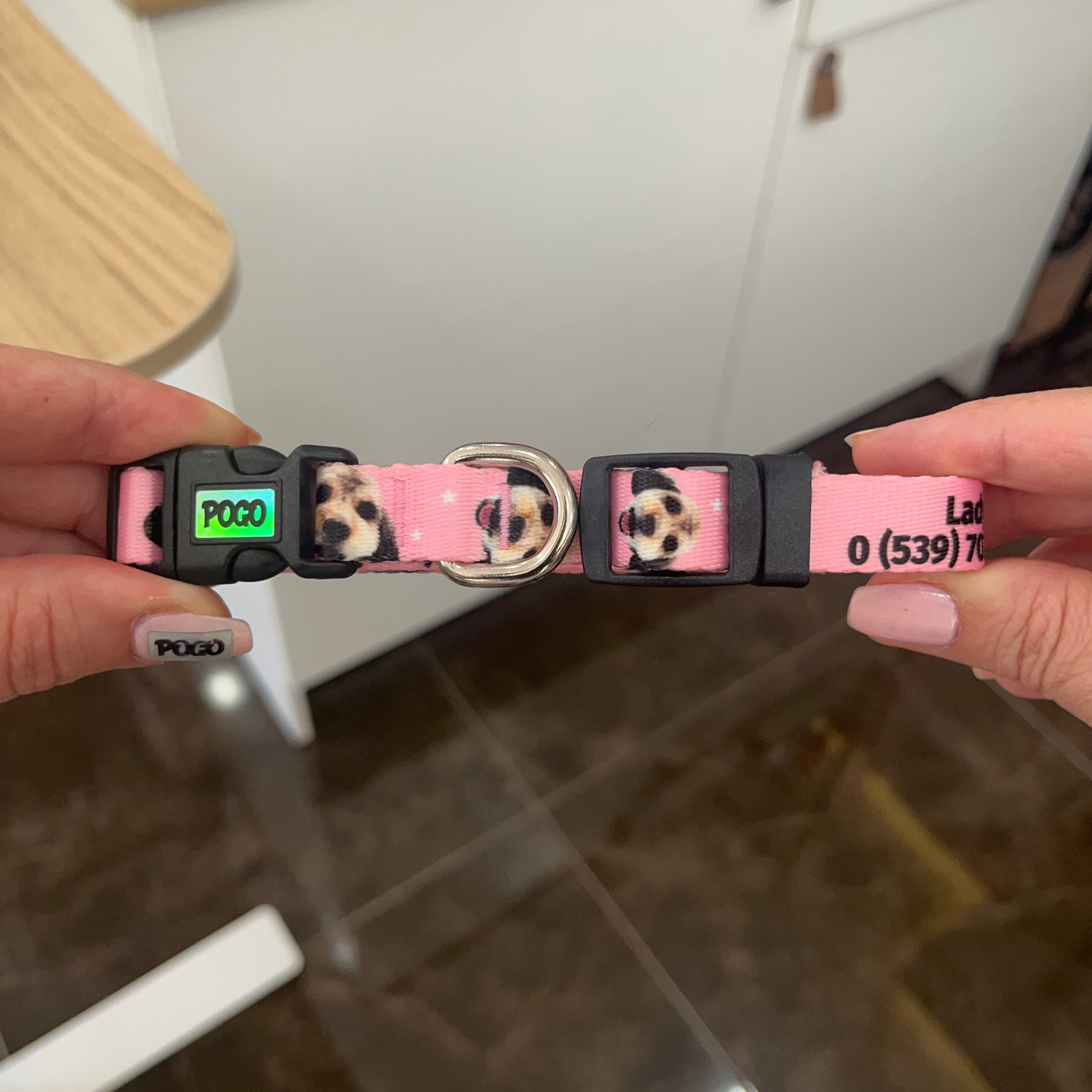 Vesikalık Pudra Pembe | Köpek Tasması