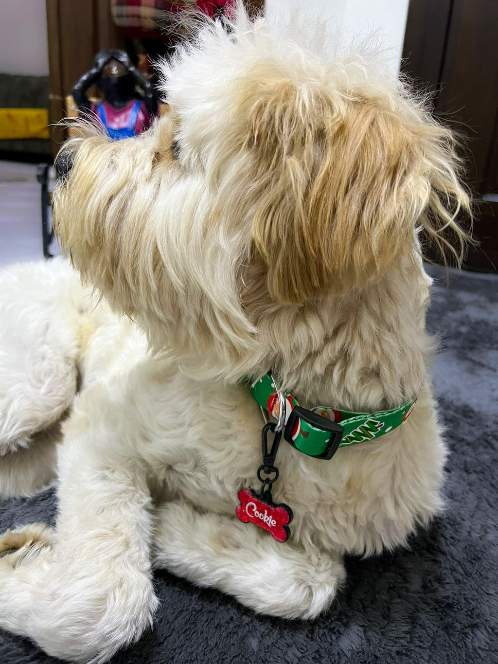 Santa | Köpek Tasması