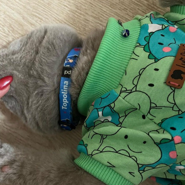 Eeyore | Kedi Tasması