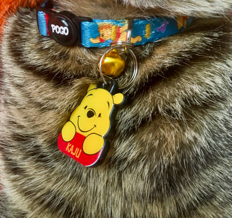 Winnie | Kedi ve Köpek İsimlik
