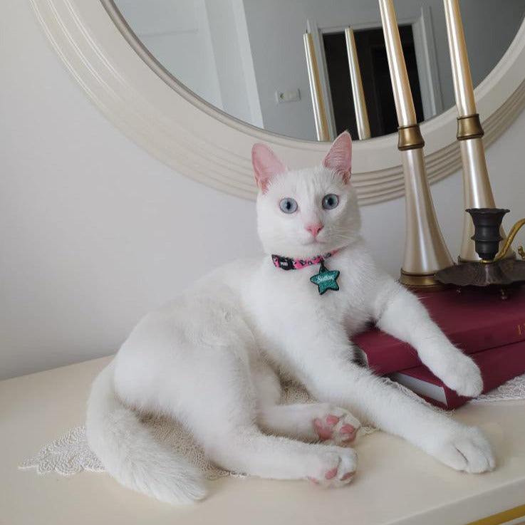 Pinky | Kedi Tasması
