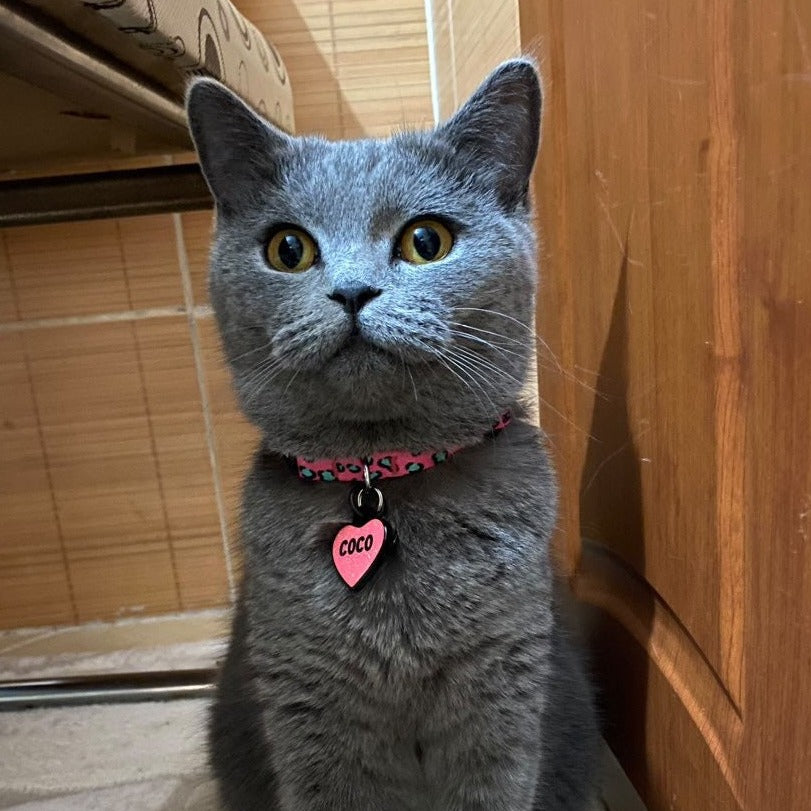 Pinky | Kedi Tasması