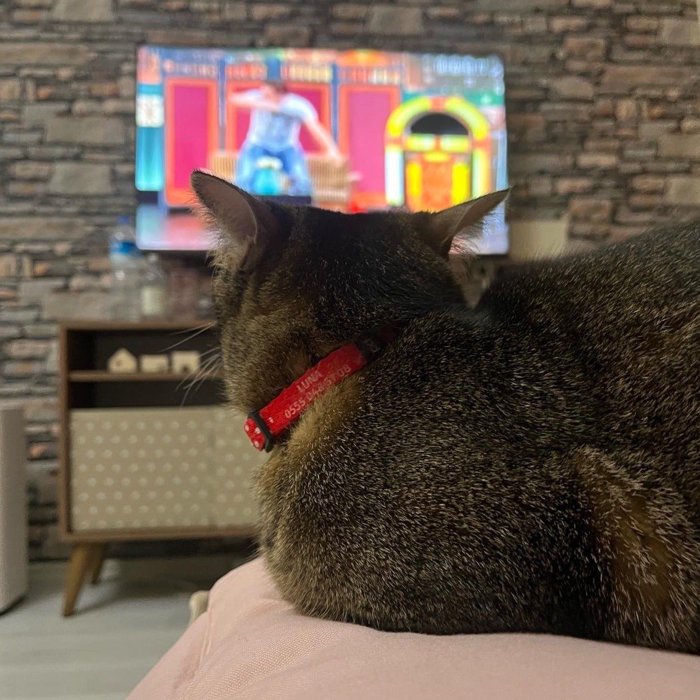 PolkaPop | Kedi Tasması