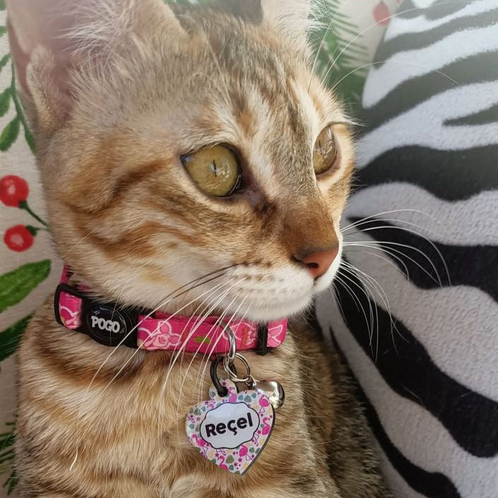 Piglet | Kedi Tasması