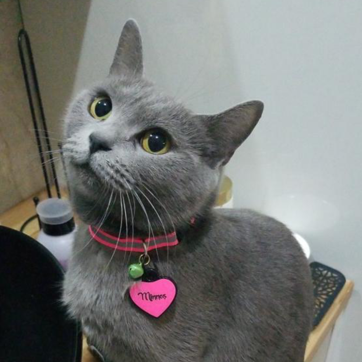 Pembe Neon Kalp | İsimlik