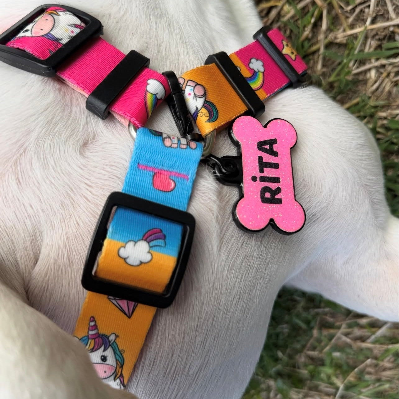 Unicorn | Köpek Göğüs Tasması