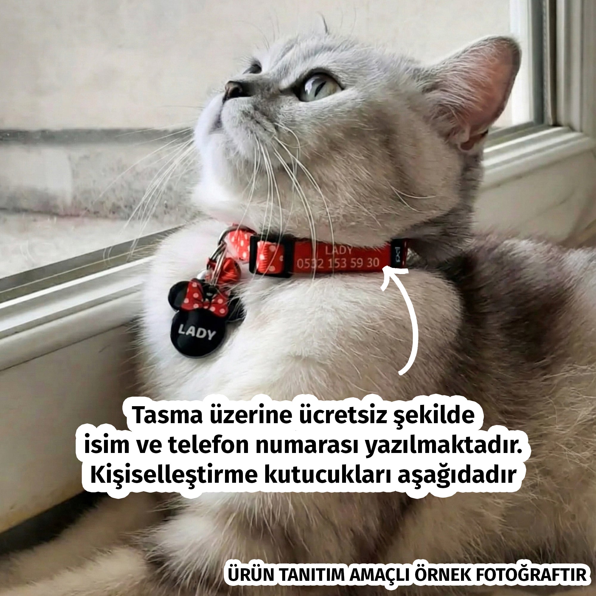 Sakura | Kedi Tasması