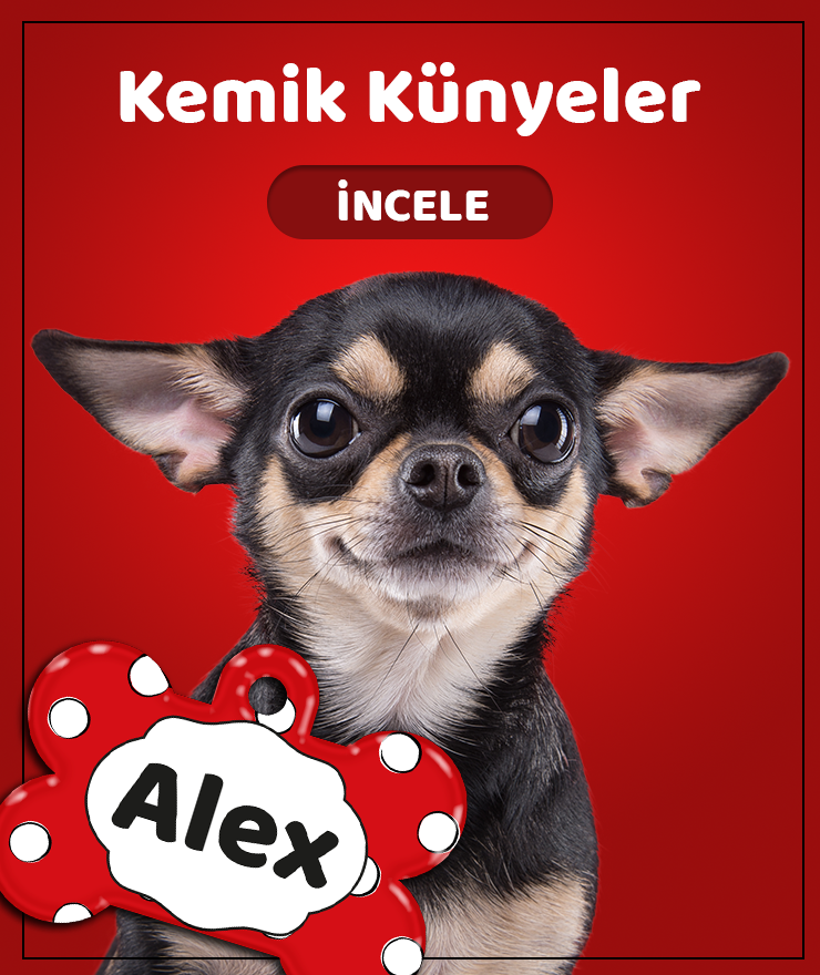 kedi ve köpekler için kemik şeklinde tasarımlar