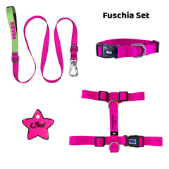 Fuschia | Tasma ve Künye Seti - Evcil hayvanlar için mükemmel bir ürün.