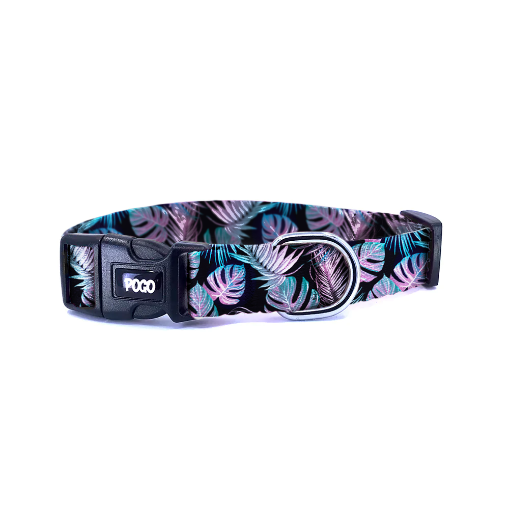 Glow Garden | Köpek Tasması - Evcil hayvanlar için mükemmel bir ürün.