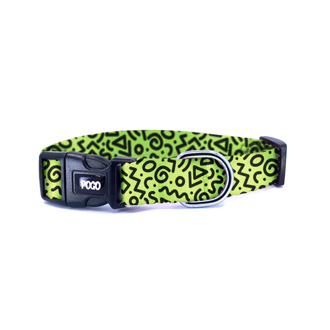 Pisto Green Loop | Köpek Tasması - Evcil hayvanlar için mükemmel bir ürün.