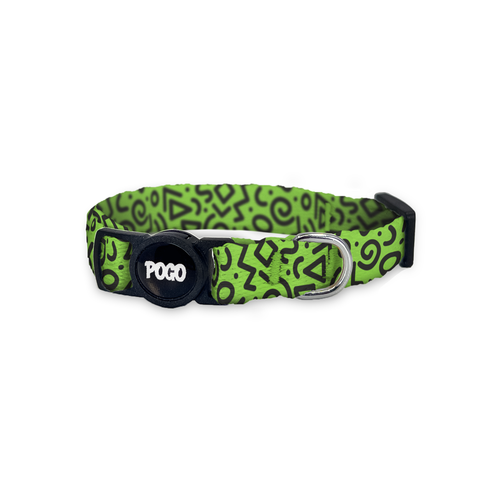 Pisto Green Loop | Kedi Tasması - Evcil hayvanlar için mükemmel bir ürün.